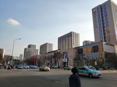 -鹏欣水游城