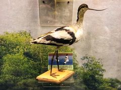 -下渚湖国家湿地公园科普馆