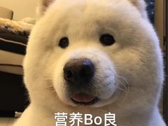 -小龙坎火锅(双林店)
