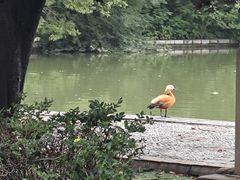 -洛阳市隋唐城遗址植物园