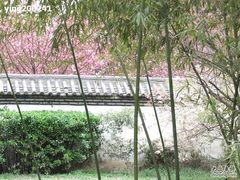 -西安青龙寺遗址景区