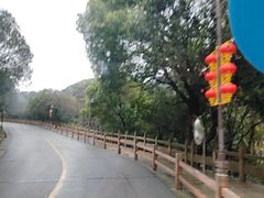 -普陀山慧济禅寺