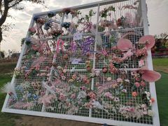 -荷兰花海