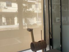 -半岛宠物医院24小时(白果林店)