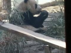 -北京动物园