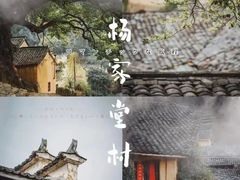 -杨家堂村