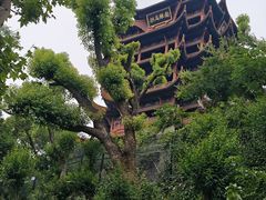 -黄鹤楼公园(黄鹤楼)