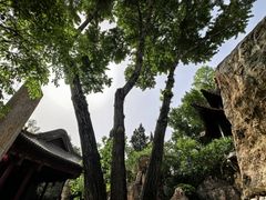 -碑林公园