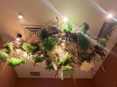 -叶叶菩提·晋福宫