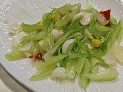 -丁老爷子苏香圆