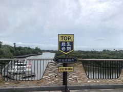 -东寨港红树林旅游区