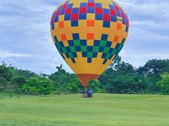 -中国科学院西双版纳热带植物园