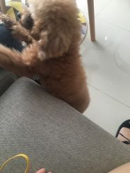 -Hands Nail专业美甲美睫