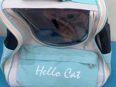 -天宠宠物医院24小时·急重症诊疗中心·全科·腔镜特色(和平分院)