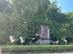 -广州白江湖森林公园