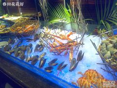 园酒店自助餐&nbsp;2-广州花园酒店-凌璇阁360度高空海鲜自助餐CAROUSEL