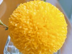 -博林天瑞喜来登酒店·西丽尚膳