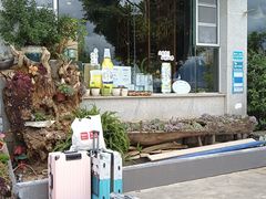 -野菌皇海景野生菌火锅(滨海大道店)