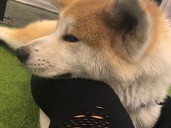 -YCHL Studios健身工作室(市二宫店)
