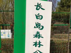 -长白岛森林公园