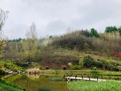-白鹿原影视城