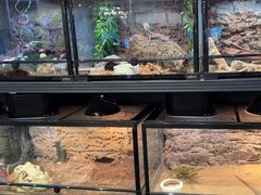 -FAIRYLAND龙族星球主题餐厅(凯丹广场店)