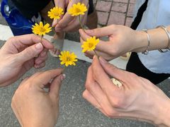 -火炉山森林公园