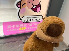 -盛京大奥莱(沈阳奥体店)