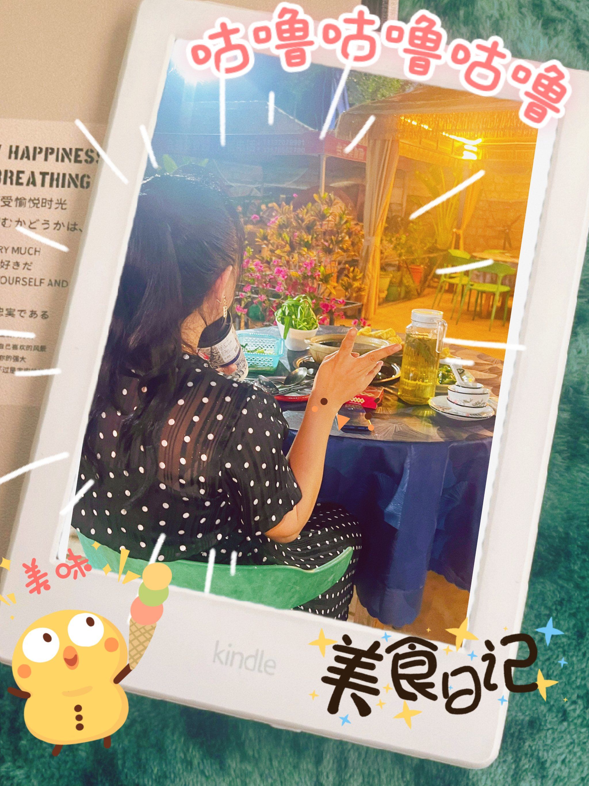 来海南不容错过的特色——贰优屯昌枫木香草鸭