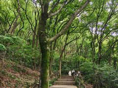 -苏州上方山国家森林公园