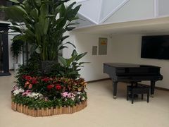 -上海新纪元双语学校