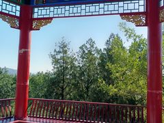 -白水寺森林公园