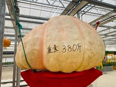 -北戴河集发农业梦想王国