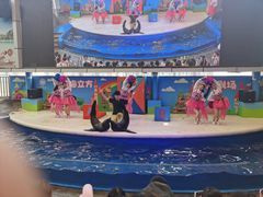 -成都浩海立方海洋公园