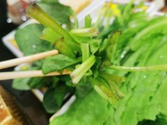 -芦月轩羊蝎子(太平桥店)