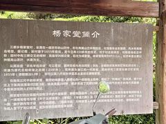 -杨家堂村