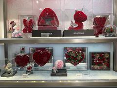 -ROSEONLY诺誓(广州K11店)