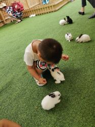 -萌宠亲子动物乐园(槐房万达店)