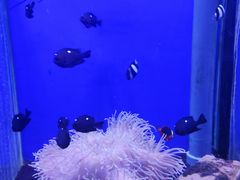 -海合安武汉极地海洋公园