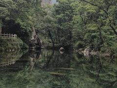 -雁荡山灵峰景区