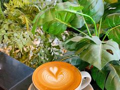 -LIN COFFEE CO(龙珠达店)