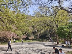 -紫金山山顶公园