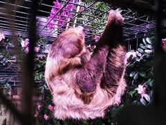 -正佳雨林生态植物园