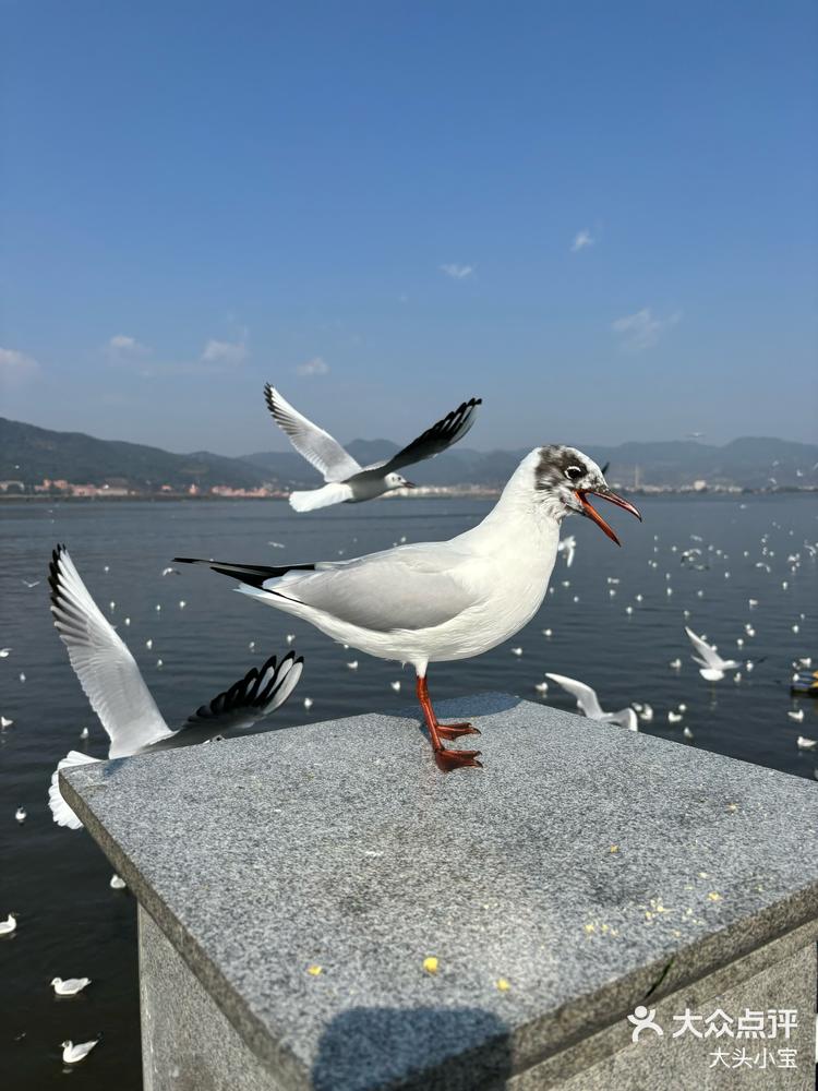 海埂大坝月份图片