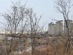 -北山公园