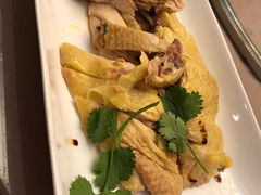 散养白斩鸡-席家花园(巨鹿花园店)