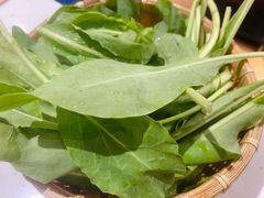 -攀枝花野菜铜火锅(万科凯德店)