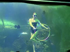 -大明湖海底世界