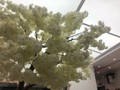 -艾薯夫妇Aysh(福田星河COCOPark店)