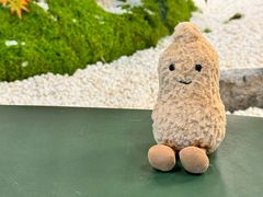 -帕帕拉兹宠物(亚洲旗舰店)